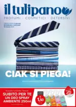 Il Tulipano Ciak si piega! - al 12.03.2025