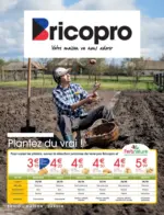 Brico Pro Brico Pro Pomme de Terre 2025 - au 15.03.2025