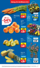 Lidl Lidl: Wochenangebote - ab 24.02.2025