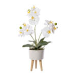 Möbelix Kunstpflanze Orchideen Creme/Grün/Weiß, 42 cm