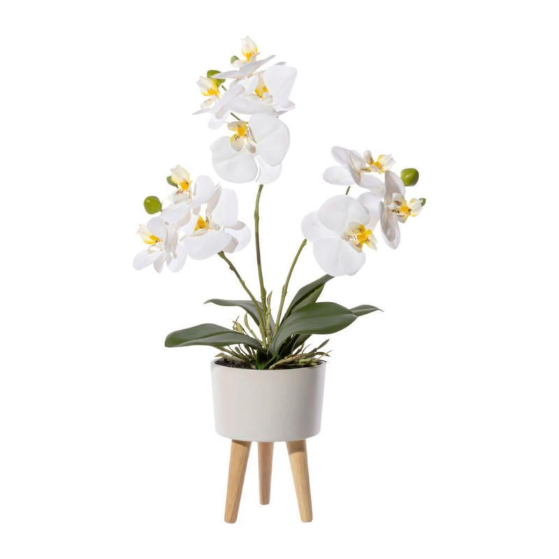 Kunstpflanze Orchideen Creme/Grün/Weiß, 42 cm