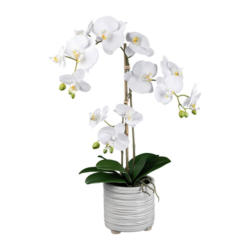 Kunstpflanze Orchideen Weiß, Topf: Weiß, H: 58 cm