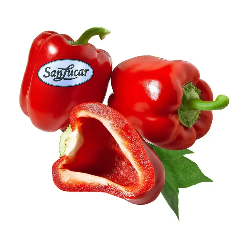 Paprika rot