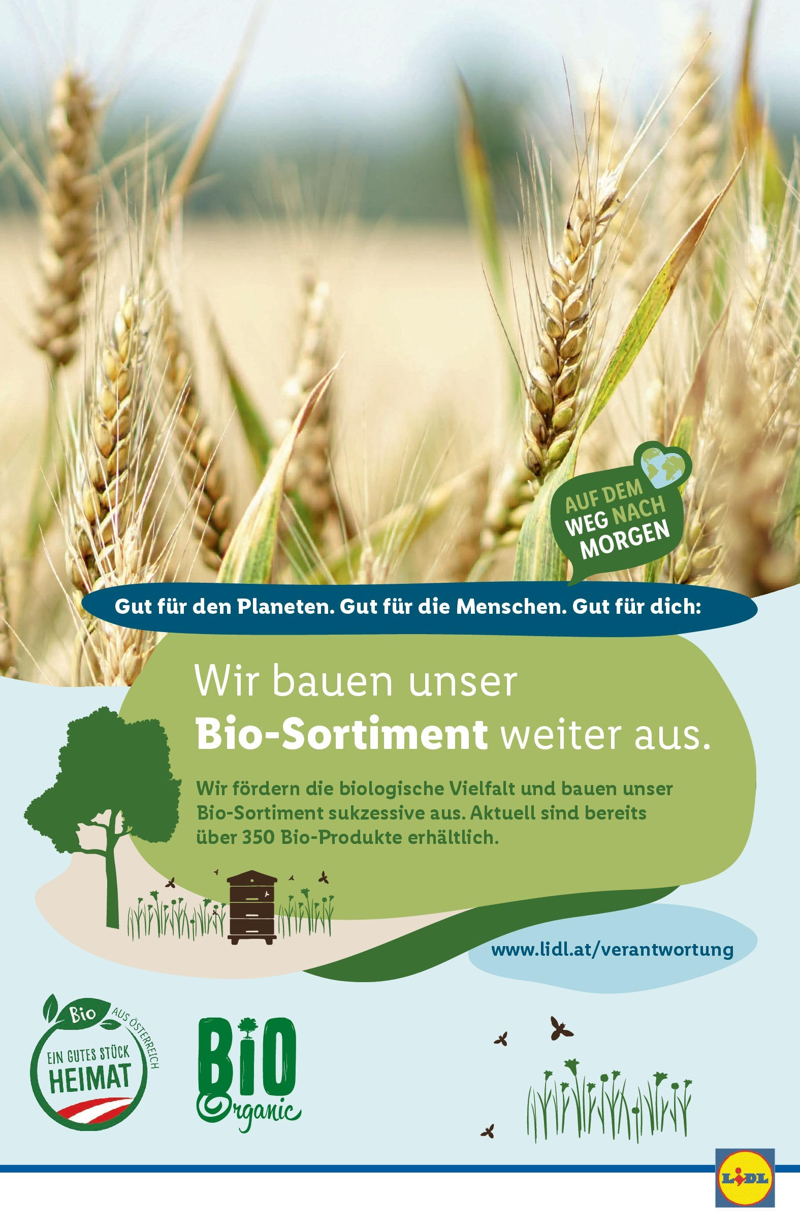 Lidl Flugblatt - Wien ab 04.06.2025 - Angebote ab donnerstag | Seite: 45