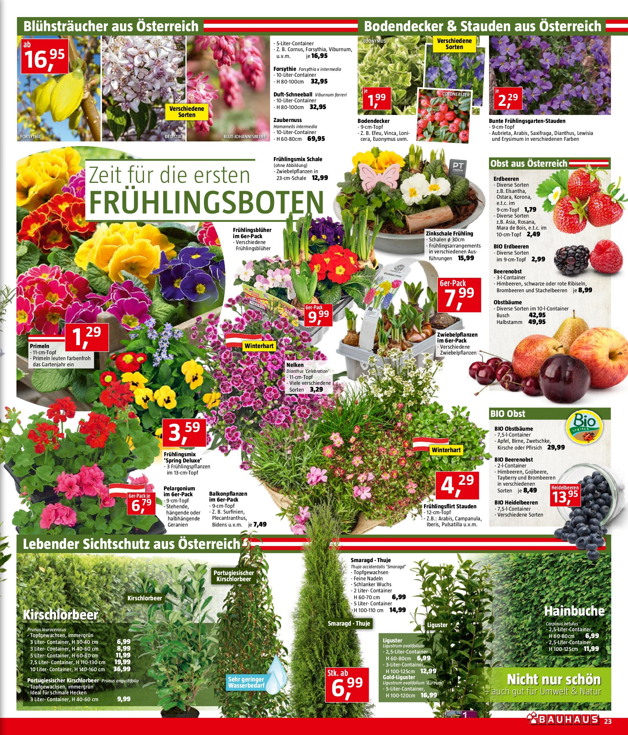 Bauhaus Prospekt aktuell von 05.03.2025 - Aktuelle Angebote | Seite: 23 | Produkte: Erdbeeren, Obst, Pfirsich