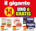 Il Gigante 1+1 Uno è Gratis - al 12.03.2025