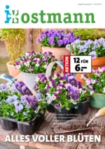 Blumen Ostmann GmbH Blumen Ostmann - Alles voller Blüten - bis 07.03.2025