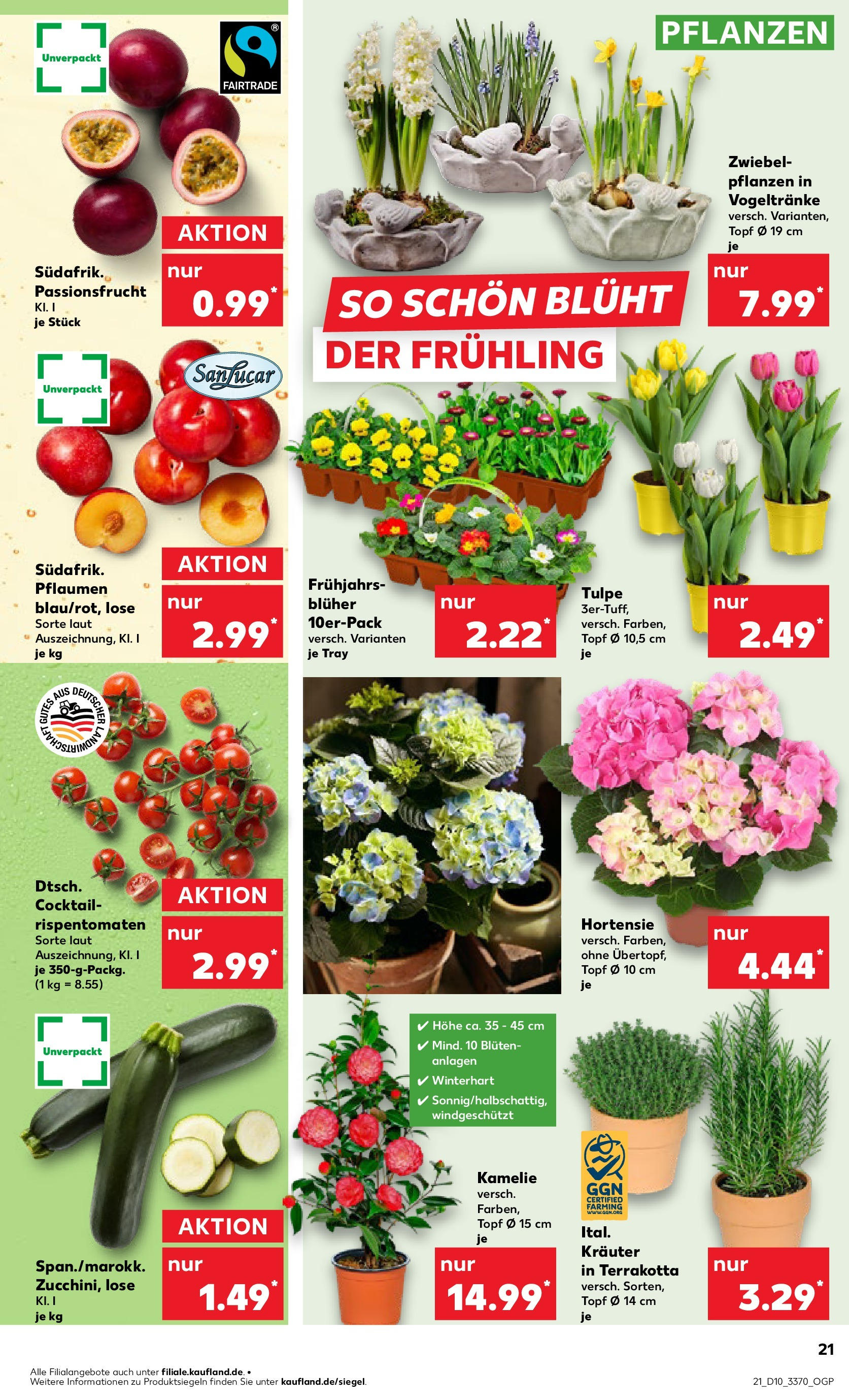 Kaufland - Prenzlau, Georg-Dreke-Ring 60 (ab 06.03.2025) » Angebote Online zum Blättern | Seite: 21 | Produkte: Hortensie, Pflaumen