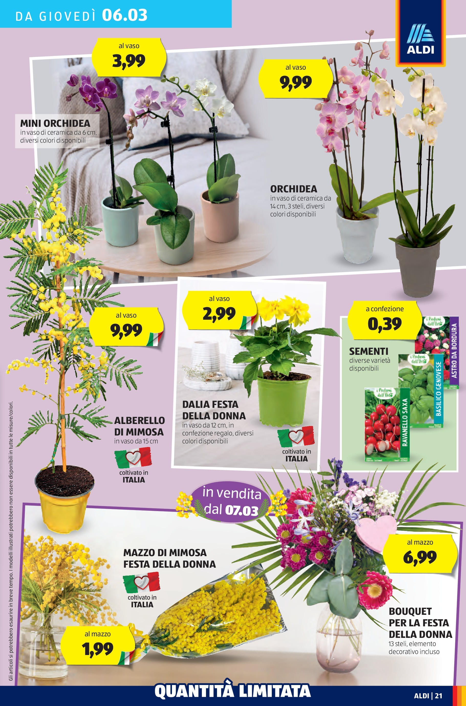 Nuovo Volantino Aldi	 dal 03/03/2025 > offerte anteprima 🛍️ | Pagina: 21 | Prodotti: Basilico, Orchidea, Vaso