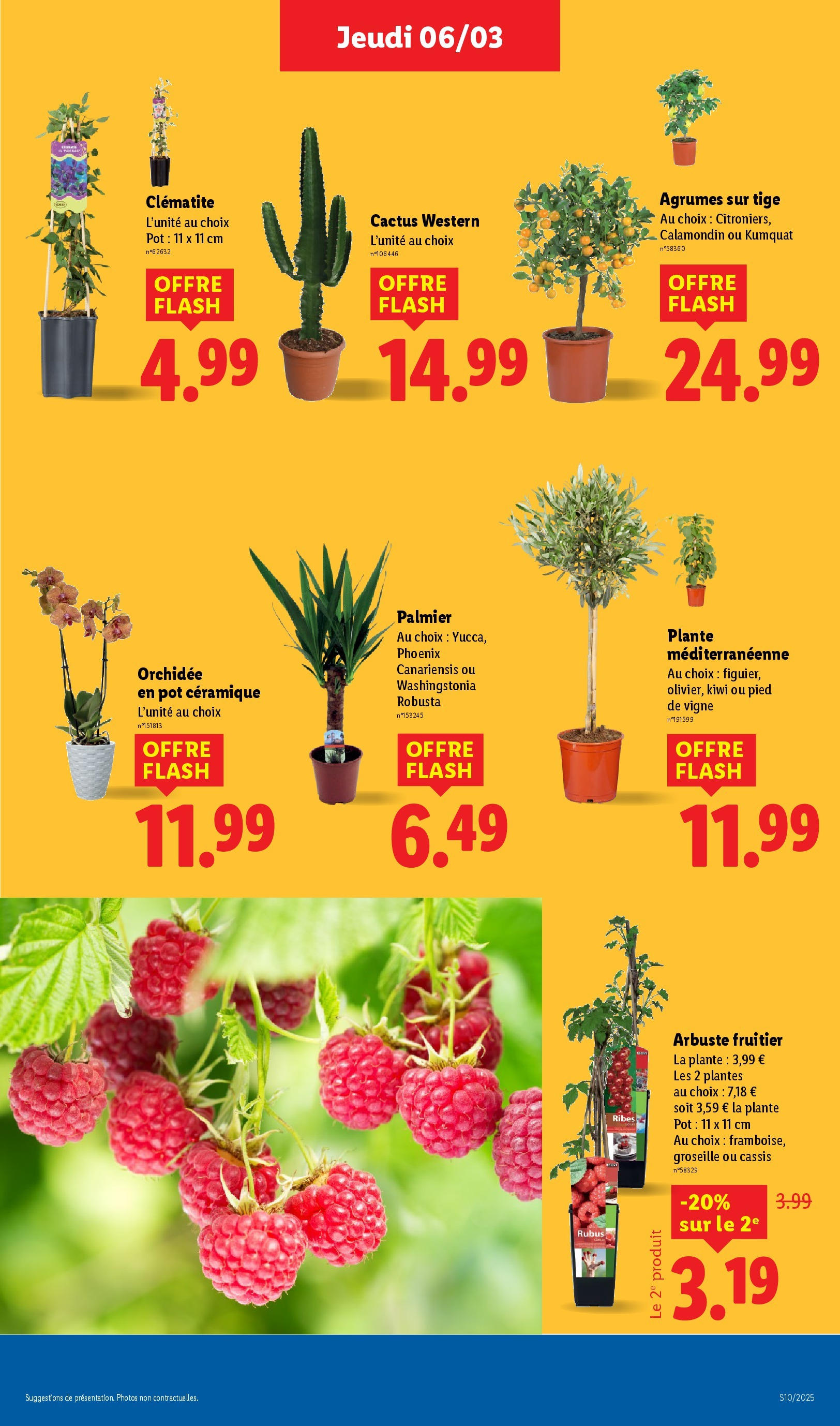 Catalogue Les bonnes affaires sont chez Lidl ! Découvrez une sélection de produits à petits prix, page 00029