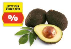 HOFER MARKTPLATZ Iss Reif! Avocado, 2 Stk.