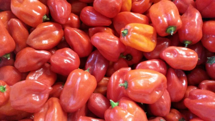 Paprika - Habanero