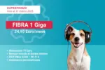 Ehiweb Fibra 1 Giga - al 31.03.2025