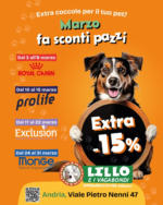 Lillo e i Vagabondi Marzo fa sconti pazzi - al 31.03.2025