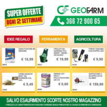 Super Offerte ogni 2 settimane