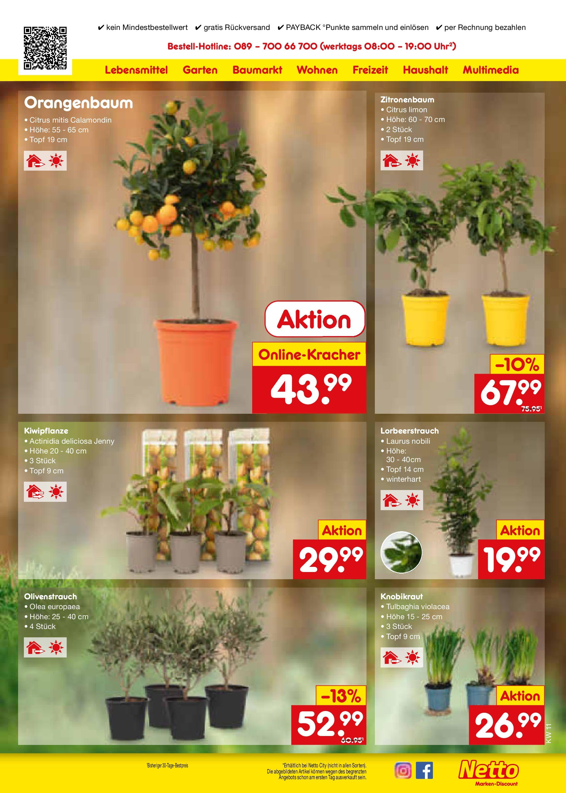 Netto Marken-Discount - Netto: Wochenangebote (ab 09.03.2025) » Angebote | Seite: 39