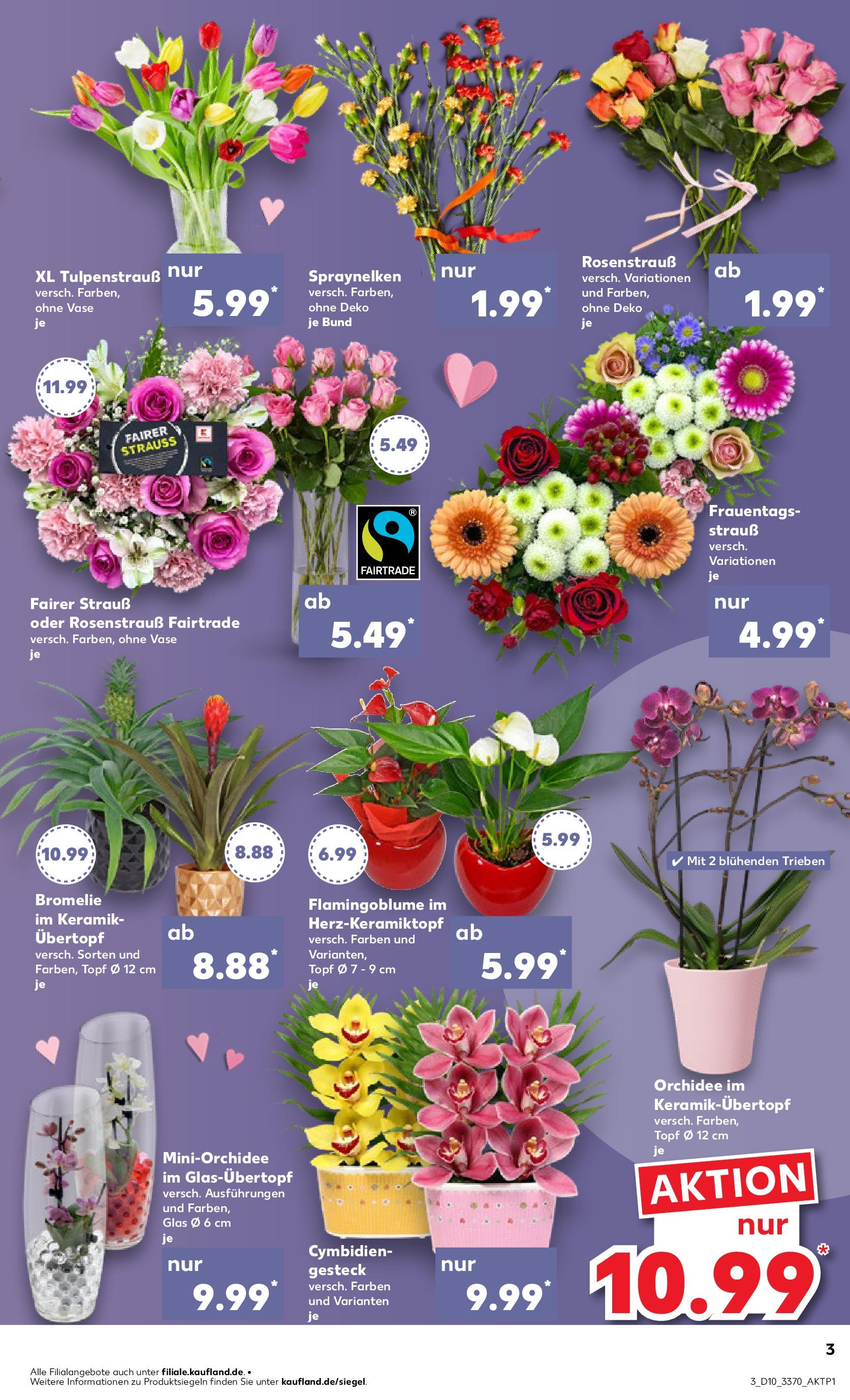 Kaufland - Prenzlau, Georg-Dreke-Ring 60 (ab 06.03.2025) » Angebote Online zum Blättern | Seite: 3 | Produkte: Orchidee, Vase