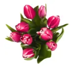 Kaufland хипермаркет Букет лалета - до 08-03-26