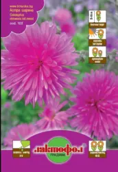 Лактофол Семена различни видове