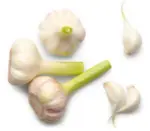 Kaufland хипермаркет Млечен чесън - до 08-03-26