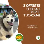 Zoo Service 3 offerte speciali per il tuo cane - al 29.03.2025