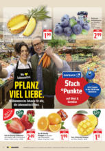 EDEKA: Wochenangebote