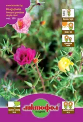 Лактофол Семена различни видове