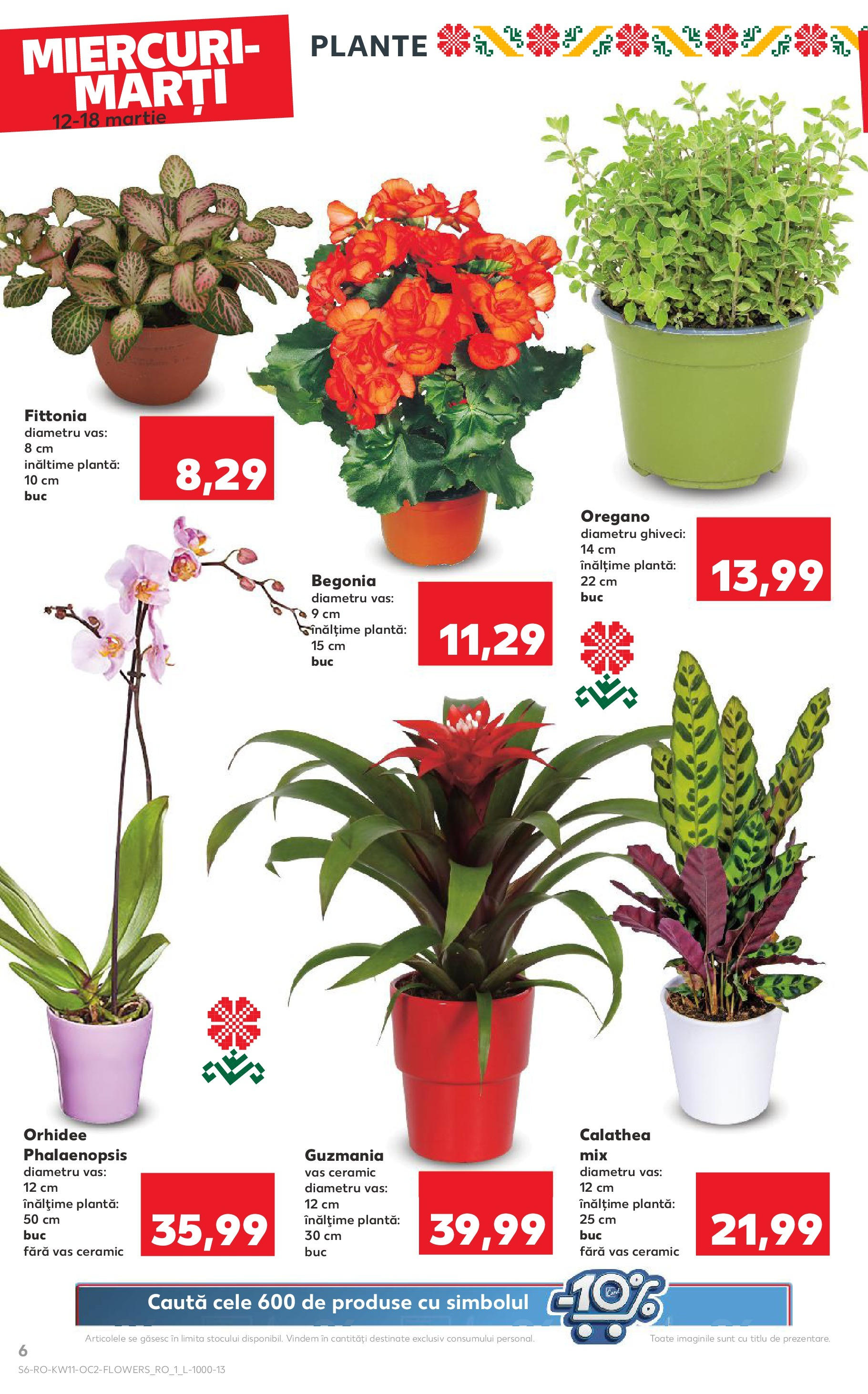 Catalog Kaufland - Bucureşti 12.03.2025 - Revista si Oferta | Pagină: 6 | Produse: Orhidee, Ghiveci