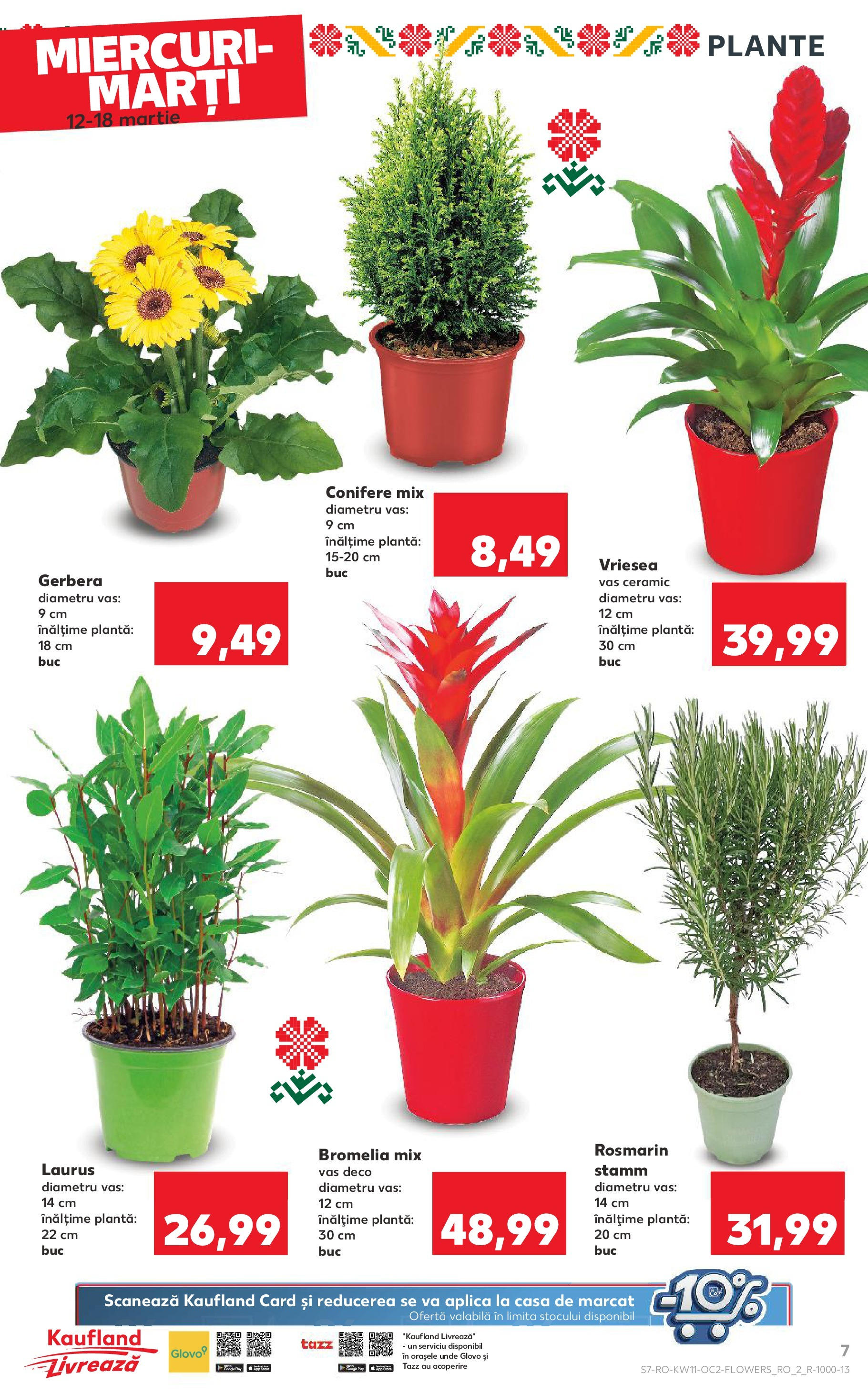 Catalog Kaufland - Bucureşti 12.03.2025 - Revista si Oferta | Pagină: 7 | Produse: Bromelia