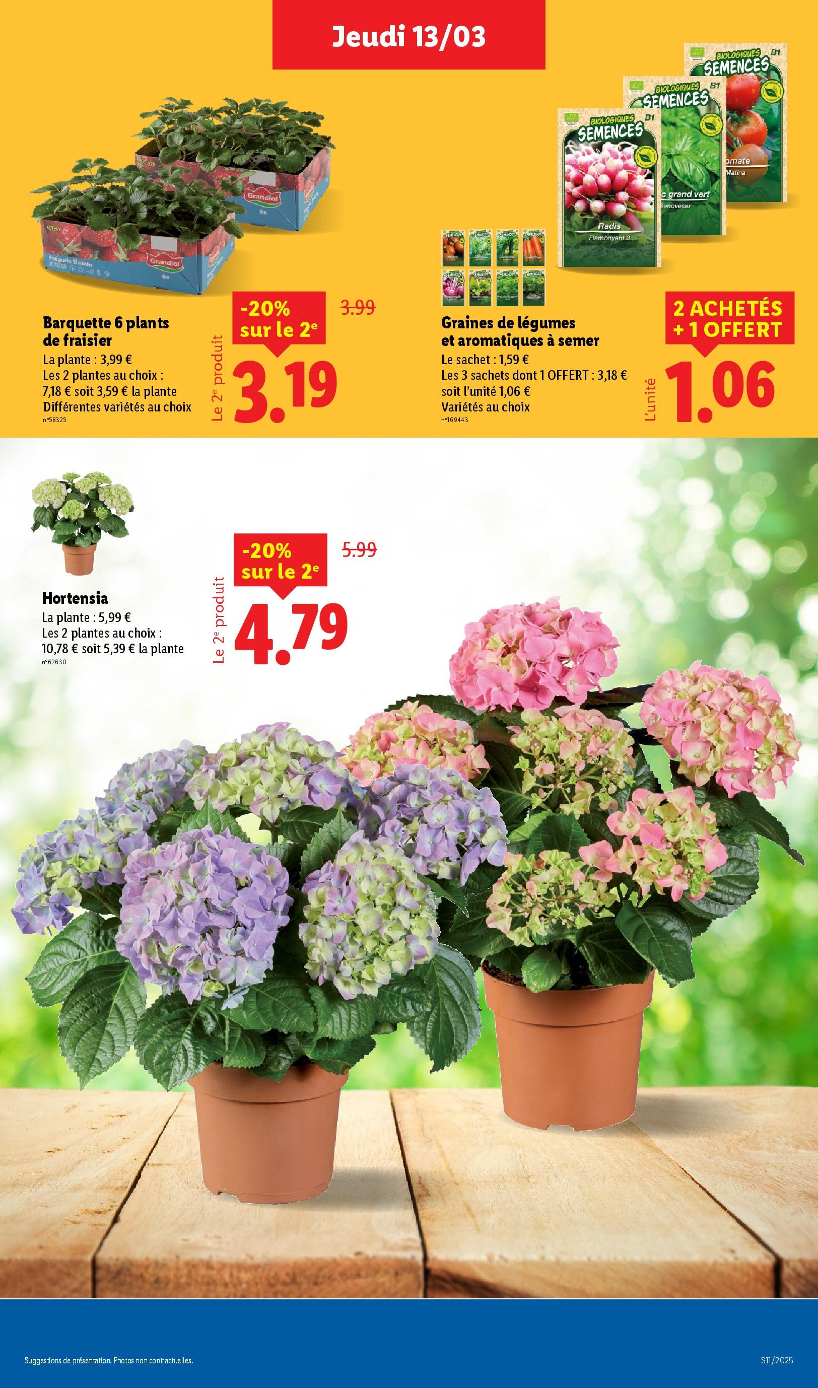 Catalogue LIDL du 12/03/2025 | Promo prospectus en ligne | Page: 29 | Produits: Hortensia, Plantes, Fraisier