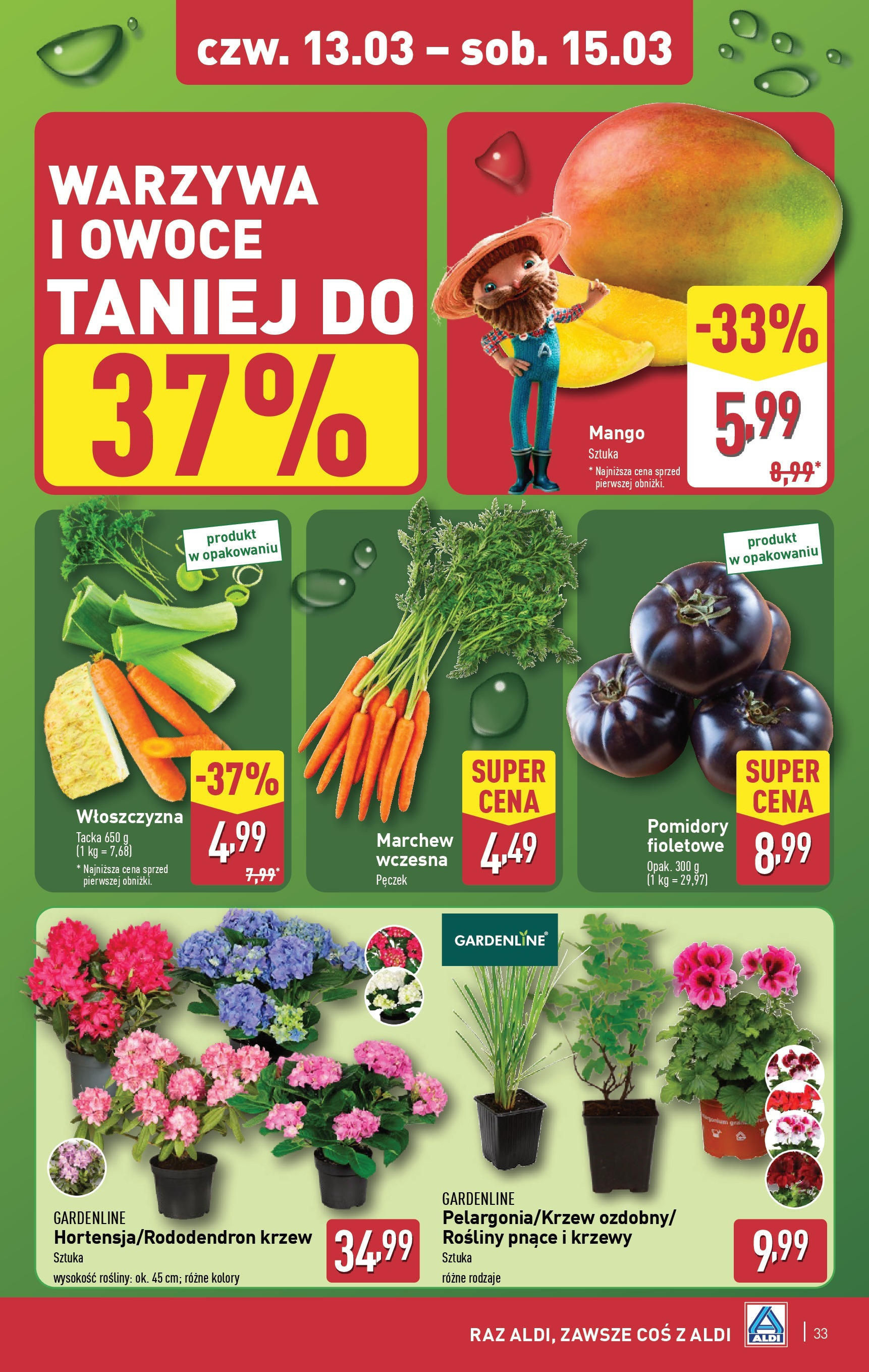 Aldi Gazetka od 10.03.2025 - Ulotka PDF, promocje | Strona: 33 | Produkty: Mango, Rosliny, Pomidory, Owoce