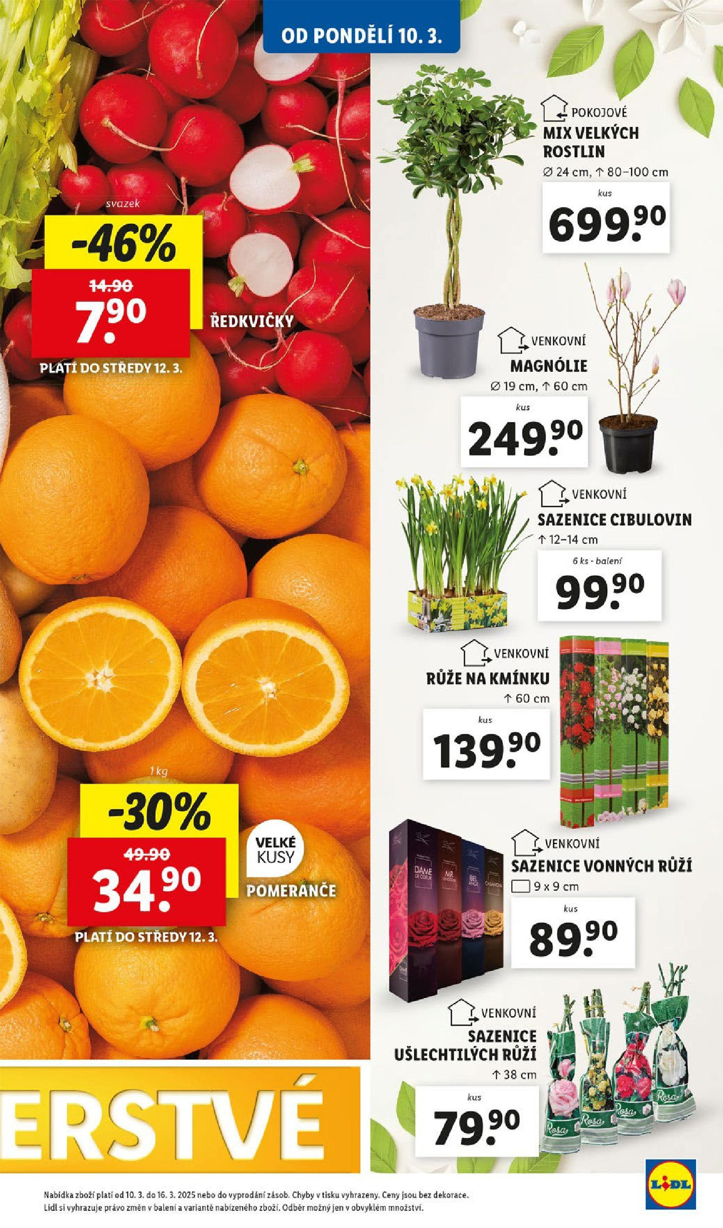 Lidl leták od 11.03.2025 - Nový akční leták | Strana: 13 | Produkty: Pomeranče, Ředkvičky