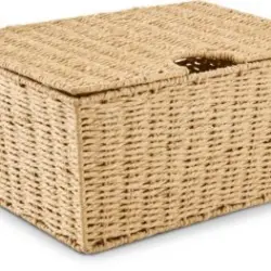 JYSK Cutie depozitare ESPEN 40x27x19cm cu capac