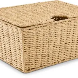 JYSK Cutie depozitare ESPEN 40x27x19cm cu capac