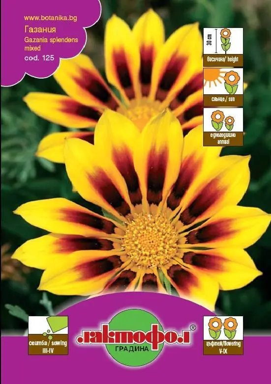 Лактофол Семена различни видове