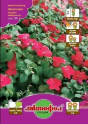 Лактофол Семена различни видове