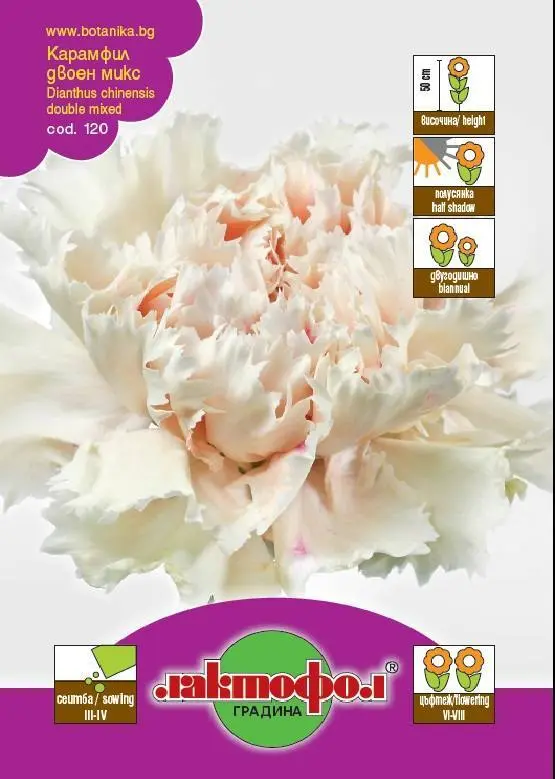 Лактофол Семена различни видове