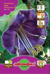 Лактофол Семена различни видове