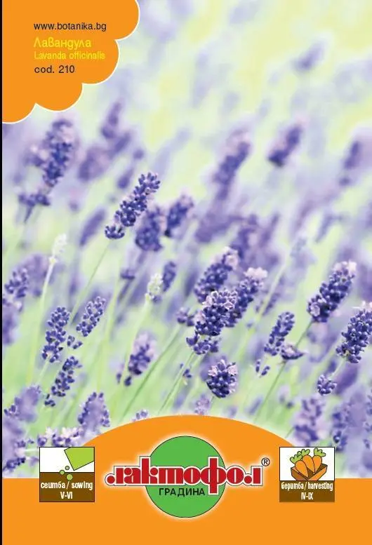 Лактофол Семена различни видове