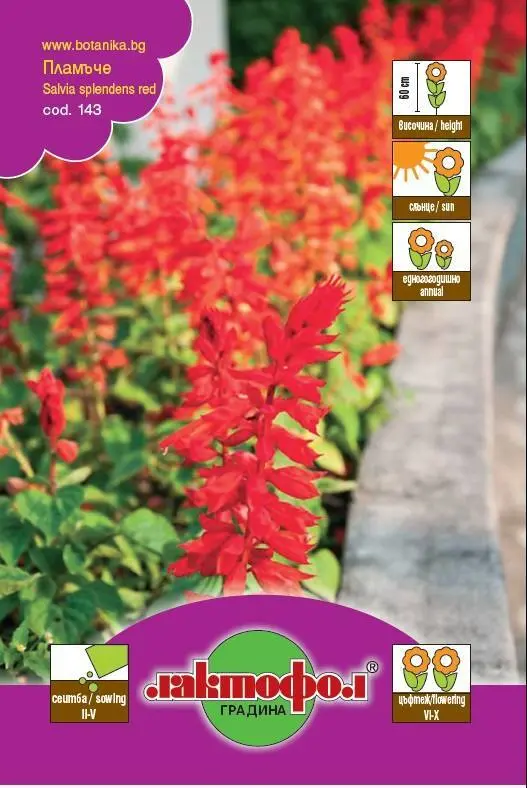 Лактофол Семена различни видове