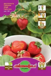 Лактофол Семена различни видове