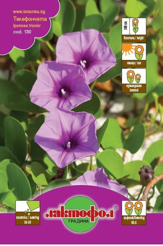 Лактофол Семена различни видове