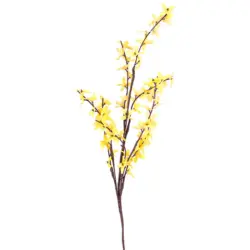 NOVOOO Forsythienast 50 cm gelb