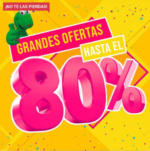 Don Dino Hasta el 80% - hasta el 31.03.2025