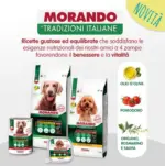 Homery OFFERTA DEL MESE - al 31.03.2025