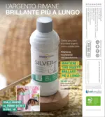 Stanhome L'argento rimane brillante piu a lungo - al 28.03.2025