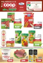 COOP Szolnok: COOP Szolnok újság érvényessége - 2025.03.19-ig - 2025.03.19 napig