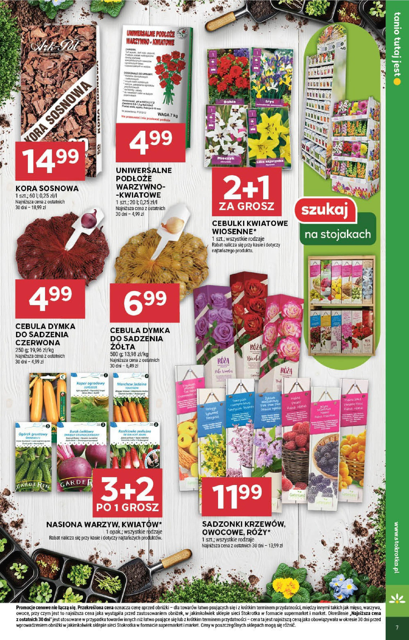 Stokrotka Gazetka 13.03.2025 - Promocje online | Strona: 7 | Produkty: Stokrotka, Nasiona