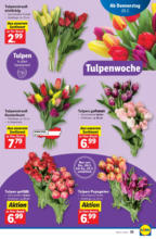 Lidl Österreich Lidl: Flugblatt in deiner Nähe - ab 20.03.2025