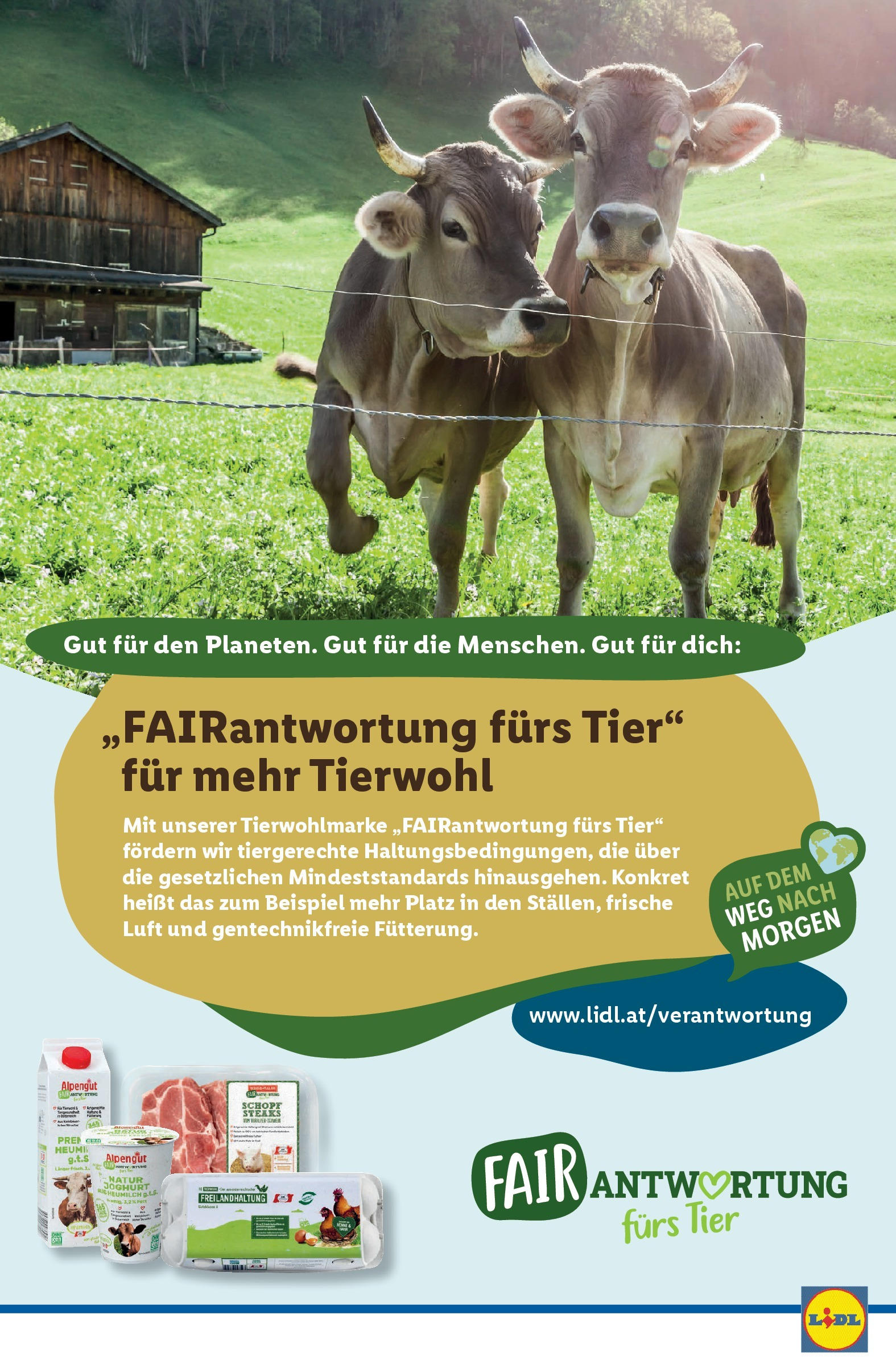 Lidl - Lidl: Flugblatt in deiner Nähe ab 25.06.2025 - Angebote ab donnerstag | Seite: 43 | Produkte: Joghurt